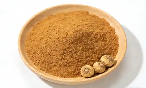 What Is Maca Extract Powder Benefits Explained?